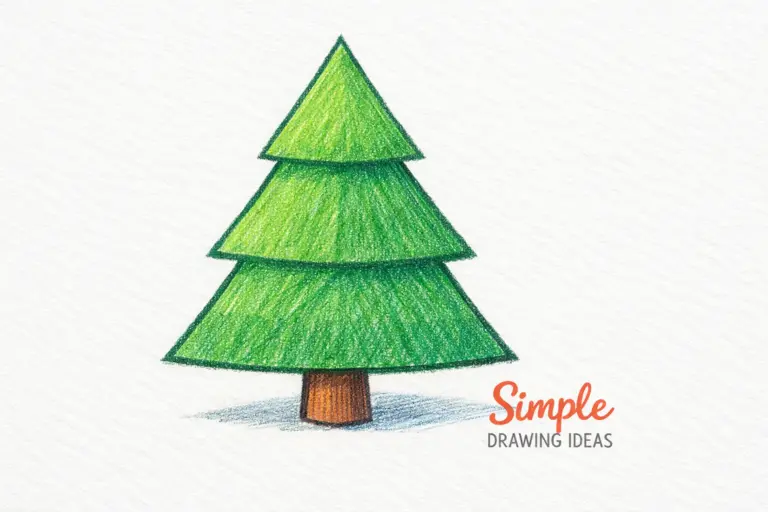 Triangular pine tree with layered branches showing simple drawing ideas