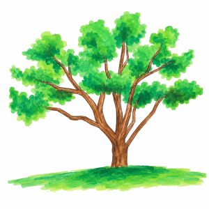 Tree Drawing Made Easy A Step-by-Step Guide for Every Skill Level
